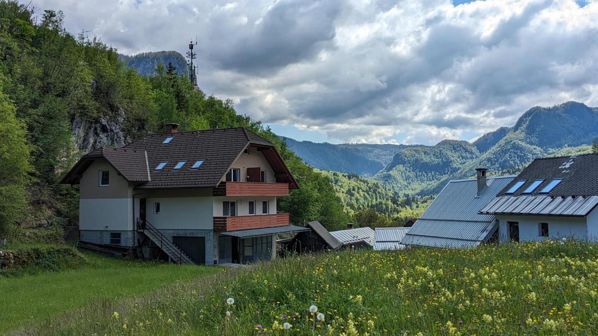 Apartments Dominika Bohinjska Bela Exterior photo